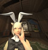 ffxiv_dx11_QuRHMhxfrj