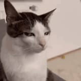 sus-suspicious