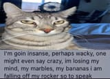 goin insane