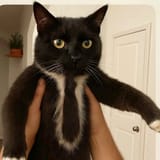 GuZMPRsWsAAHAJ0