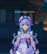emotional support