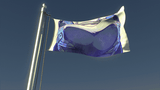 mei butt flag