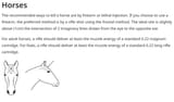 horse shot