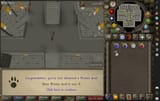 Hunter(9) 2025-06-27_17-14-47