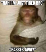 1732059030421070