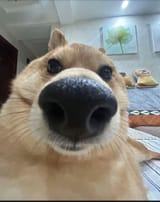 1719222119738466m