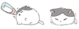 kitty