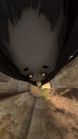 1738923696263537