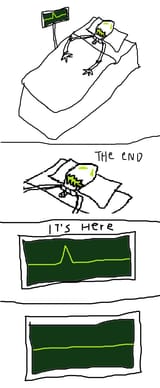 t.e