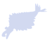 ND