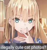 1746570442803597