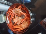 crab niggers