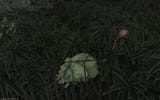 ffxiv_06262025_225737_066