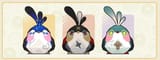 birds