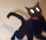 1726281342164425