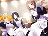 majikoi maids