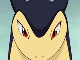 Typhlosion smile