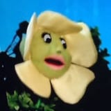 fluwer