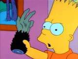 paw