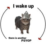 1729726376478