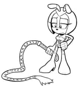 Whip