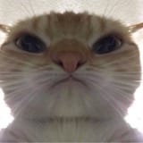 1625032923193
