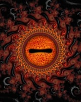 fascinating.fractals-28042022-0001