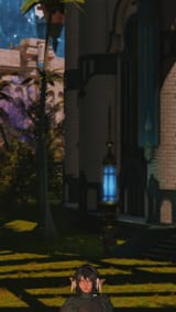 ffxiv_dx11 2025-06-28 14-18-27_917