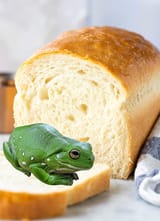 bread