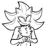 Shad