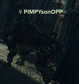pimpysonopp