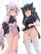 hc6bdmq6