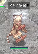 kot