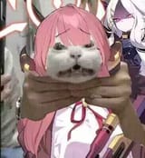 aru cat cloke