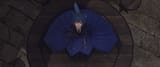 ffxiv_dx11 2025-06-27 18-52-56