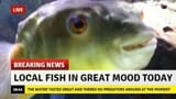 happy_fish