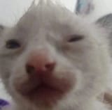 1727910095660981