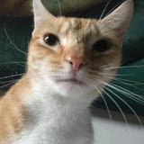 1751127418417638