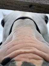 1616864765221