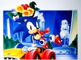 SSS_SONIC04