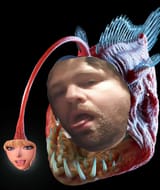 were you expecting a cute girl? It’s just me! Emv! 