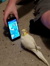 1693848067043868
