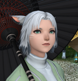 ffxiv_dx11_Ik9MbPpGKt