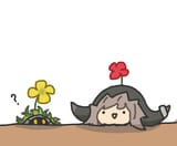 pallas and peacake