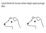 GE0JeVGW4AAJyHU