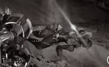 deadminervachan