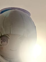 1732741185315688