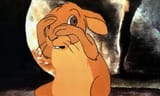 shocked scared bun
