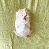 image0