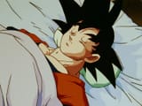 Goku has died